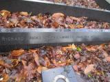 image of grave number 373648